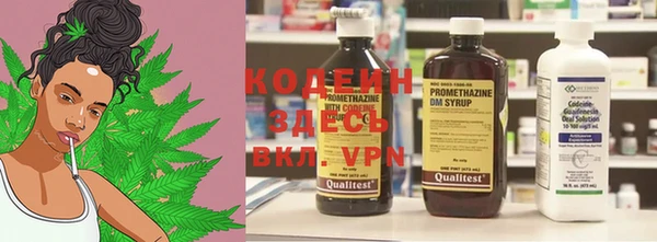 индика Елабуга