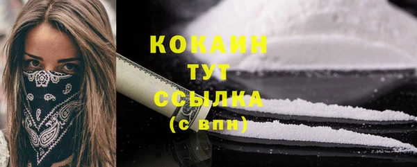 твердый Весьегонск