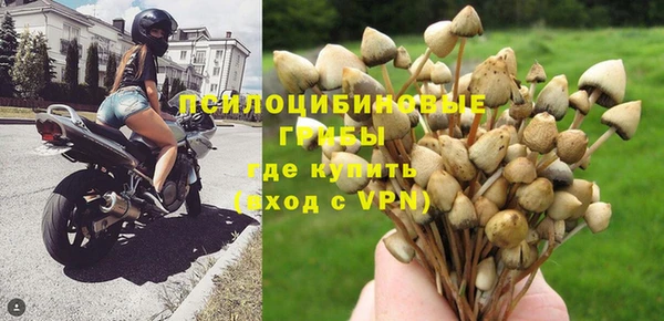 apvp Белоозёрский