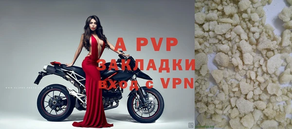 прущие грибы Елизово