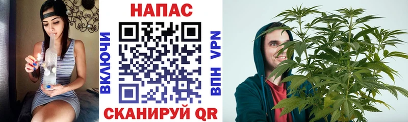 МАРИХУАНА планчик  Бугульма 